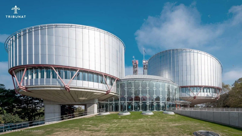 Metal qəfəsdə saxlanma ilə bağlı Avropa Məhkəməsinə şikayət nə vaxt verilməldir?