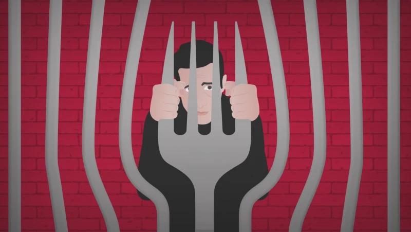 The case of the prisoners staging hunger strike: What are the obligations of the state?