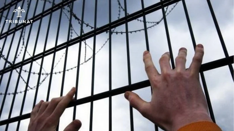 İnzibati həbslərin yeni dalğası: Rəsmiləri tənqidin yol verilən həddi hara qədərdir?