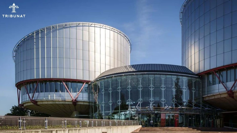 İnformasiya əldə etmək hüququ ilə bağlı daha bir qəbuledilməzlik qərarı