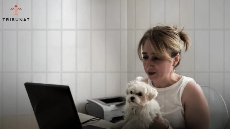 Həbsdə olan şəxsin itiylə görüşü problemi