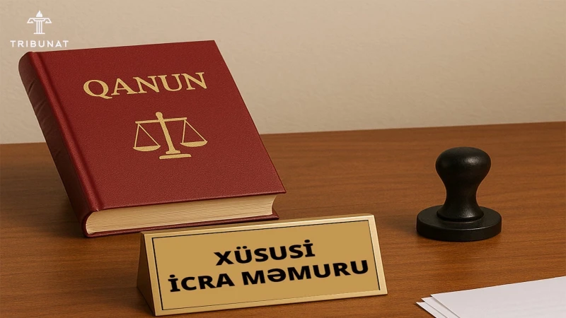 Special enforcement agents: Reform or outsourcing?